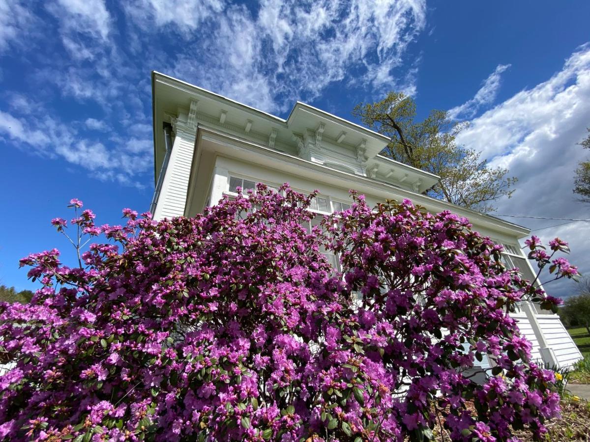 Bloom Farm Guesthouse Mount Vision Exterior foto